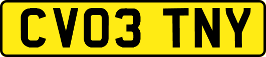 CV03TNY