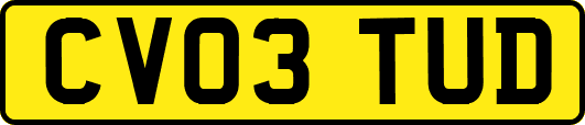 CV03TUD
