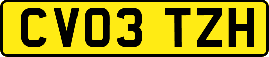 CV03TZH
