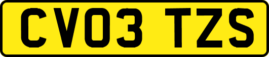 CV03TZS