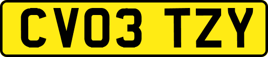 CV03TZY