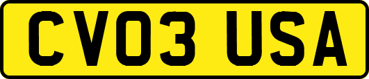 CV03USA