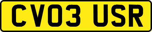 CV03USR