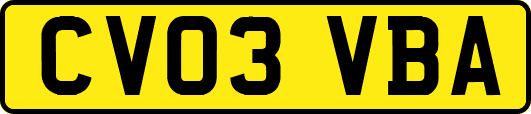 CV03VBA