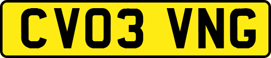 CV03VNG