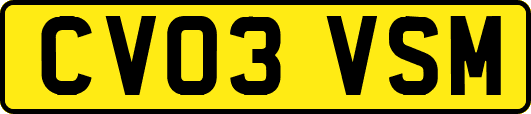 CV03VSM