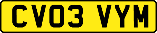CV03VYM