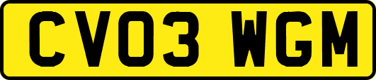 CV03WGM