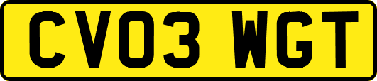CV03WGT
