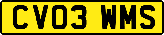 CV03WMS