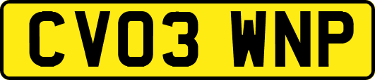 CV03WNP