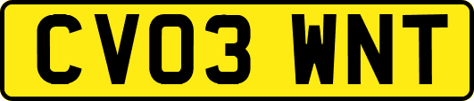 CV03WNT