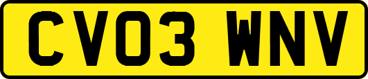 CV03WNV