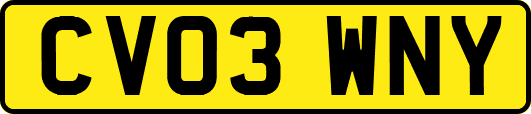 CV03WNY