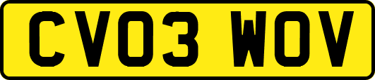 CV03WOV