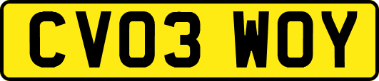 CV03WOY