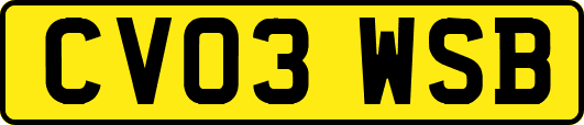 CV03WSB