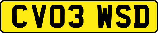 CV03WSD