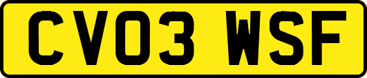 CV03WSF