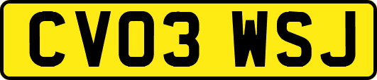 CV03WSJ