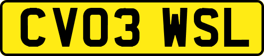 CV03WSL