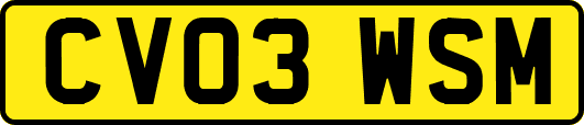 CV03WSM