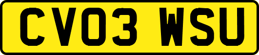 CV03WSU