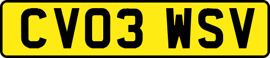 CV03WSV