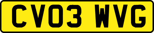 CV03WVG