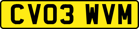 CV03WVM