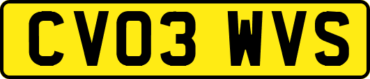CV03WVS