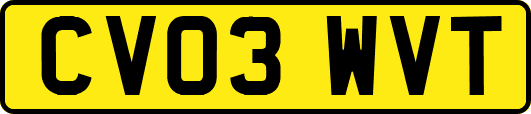 CV03WVT