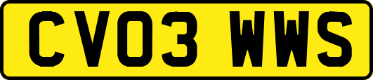 CV03WWS