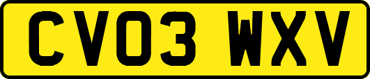 CV03WXV