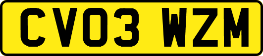 CV03WZM
