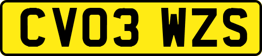 CV03WZS