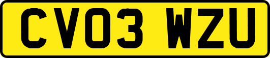 CV03WZU
