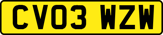 CV03WZW