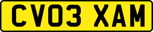 CV03XAM