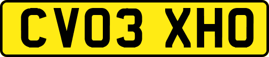 CV03XHO