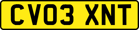 CV03XNT