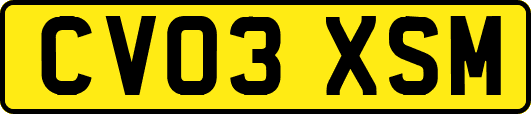 CV03XSM