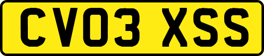 CV03XSS