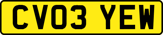 CV03YEW