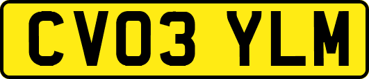 CV03YLM
