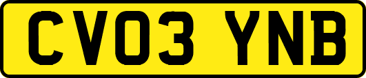 CV03YNB
