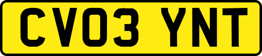 CV03YNT