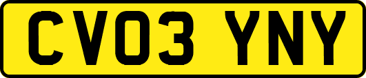 CV03YNY