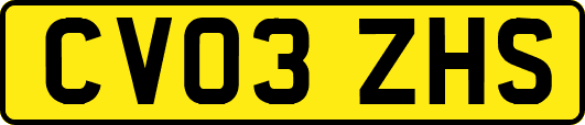 CV03ZHS