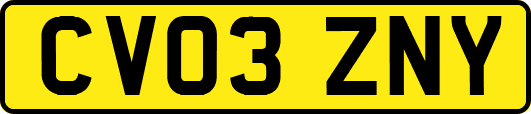 CV03ZNY